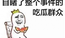 微信吃瓜群众最新爆料视频,揭秘事件背后惊人真相！
